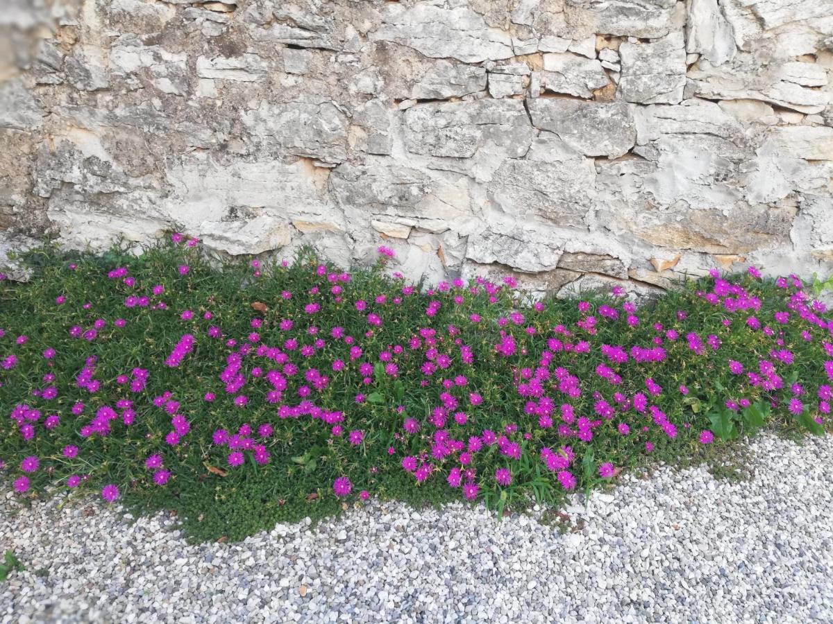 Bed&Breakfast Barbara Borgo Grotta Gigante Exterior foto
