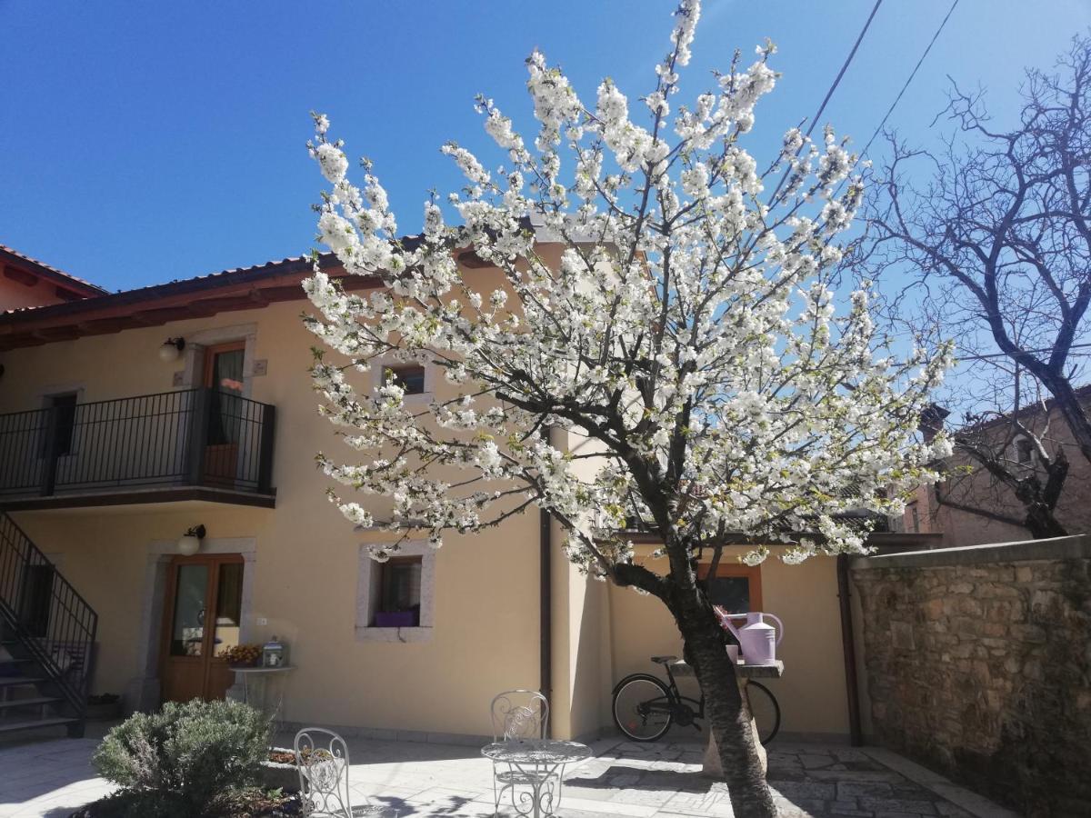 Bed&Breakfast Barbara Borgo Grotta Gigante Exterior foto