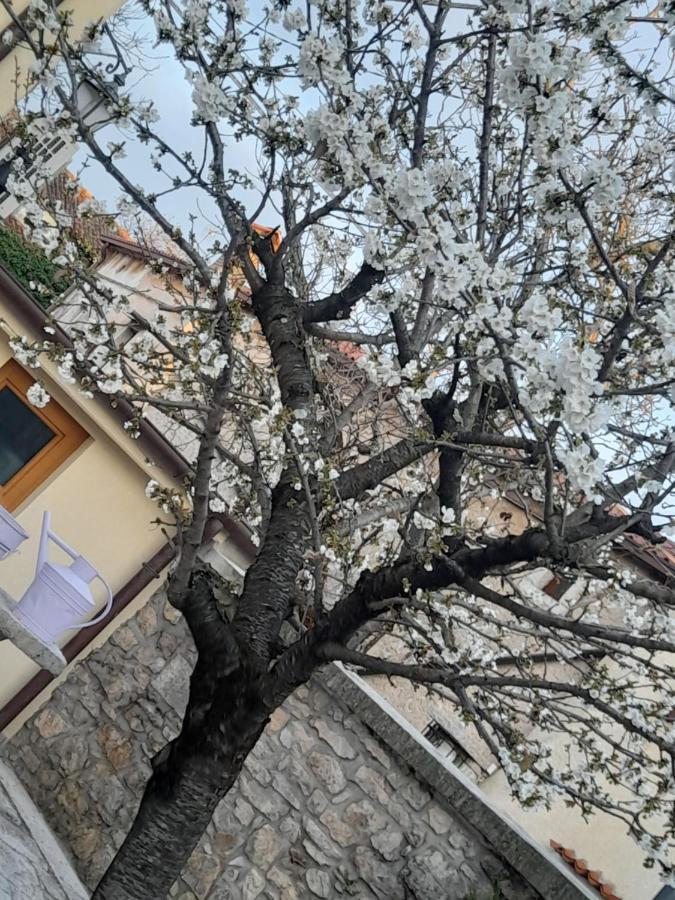Bed&Breakfast Barbara Borgo Grotta Gigante Exterior foto