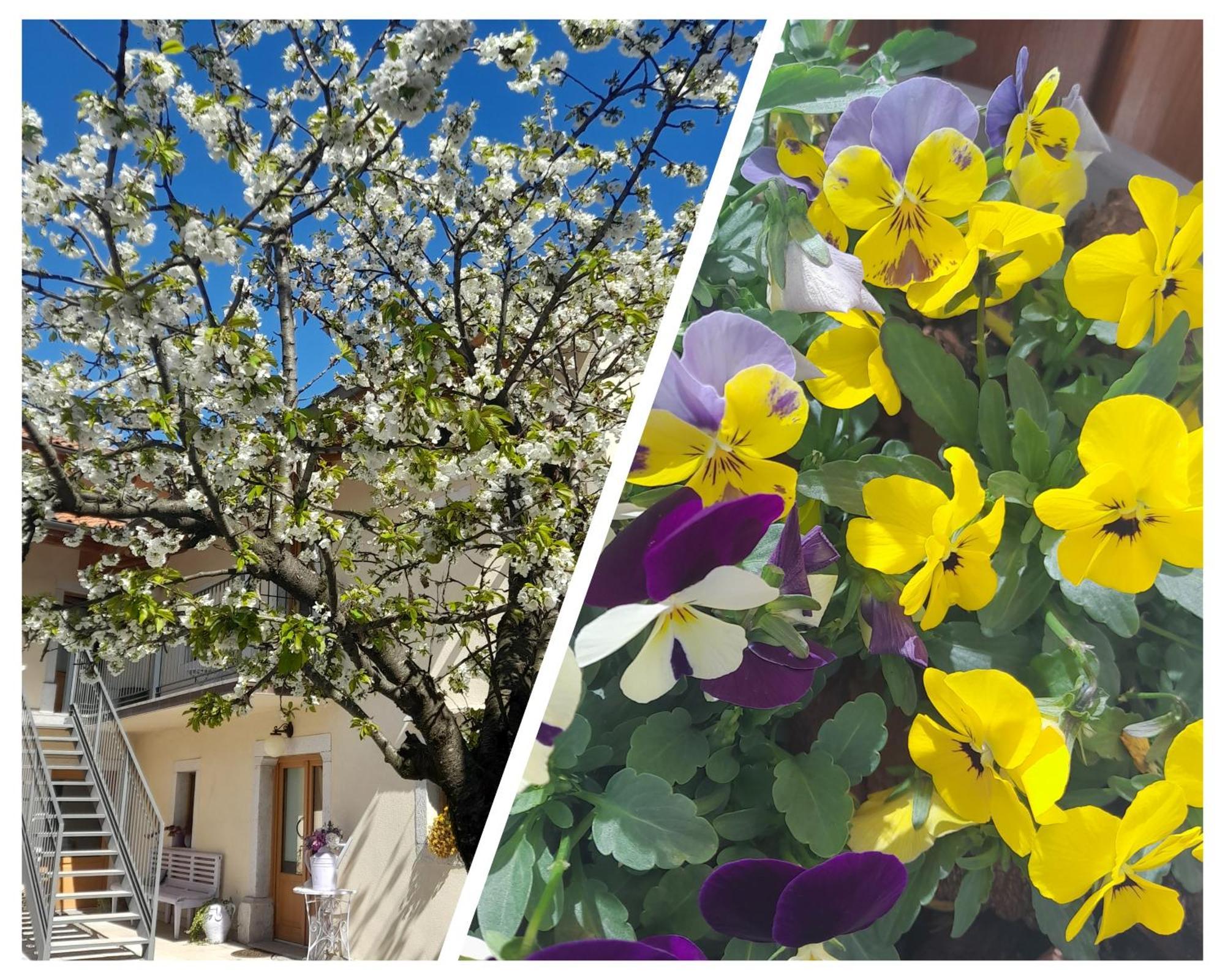 Bed&Breakfast Barbara Borgo Grotta Gigante Exterior foto