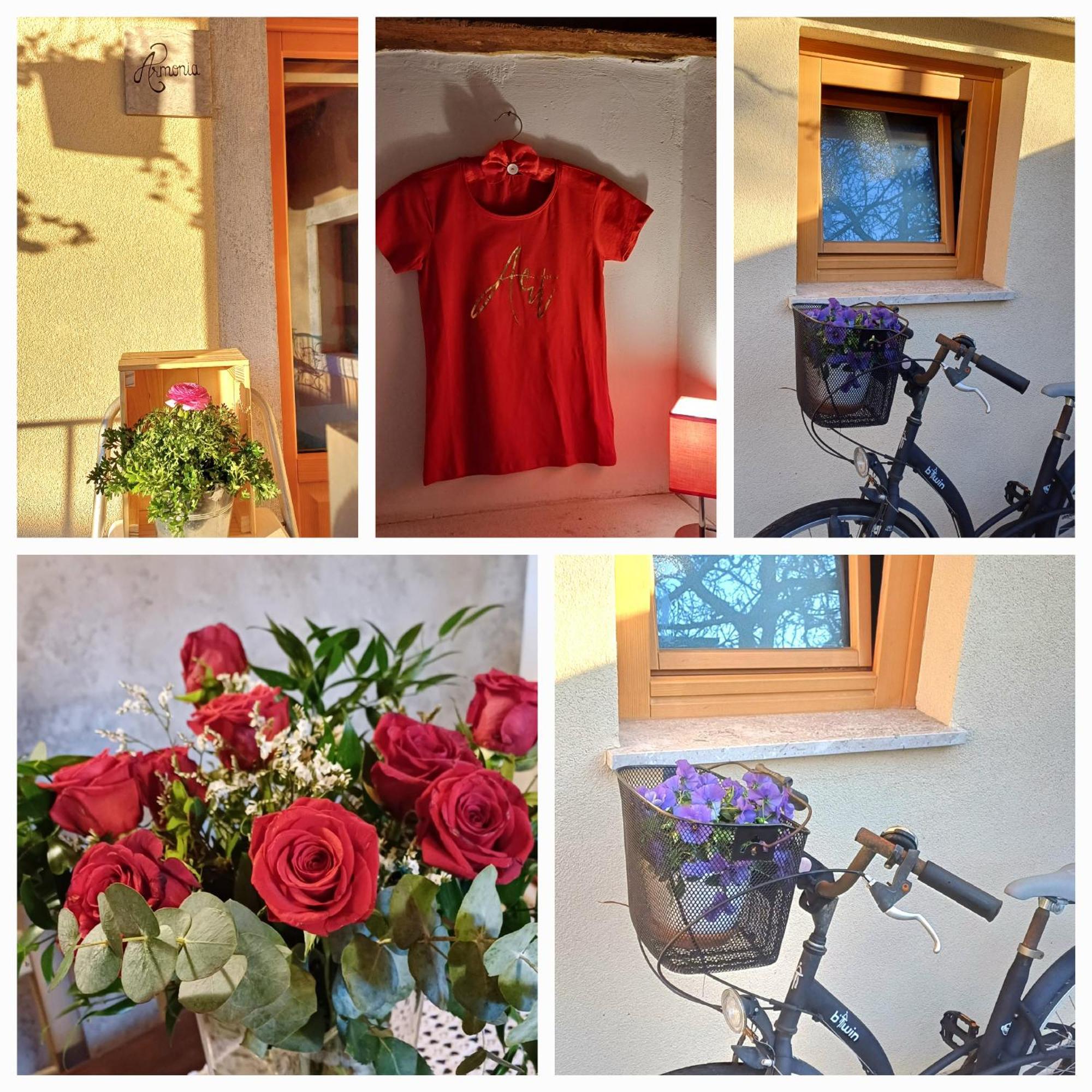 Bed&Breakfast Barbara Borgo Grotta Gigante Exterior foto